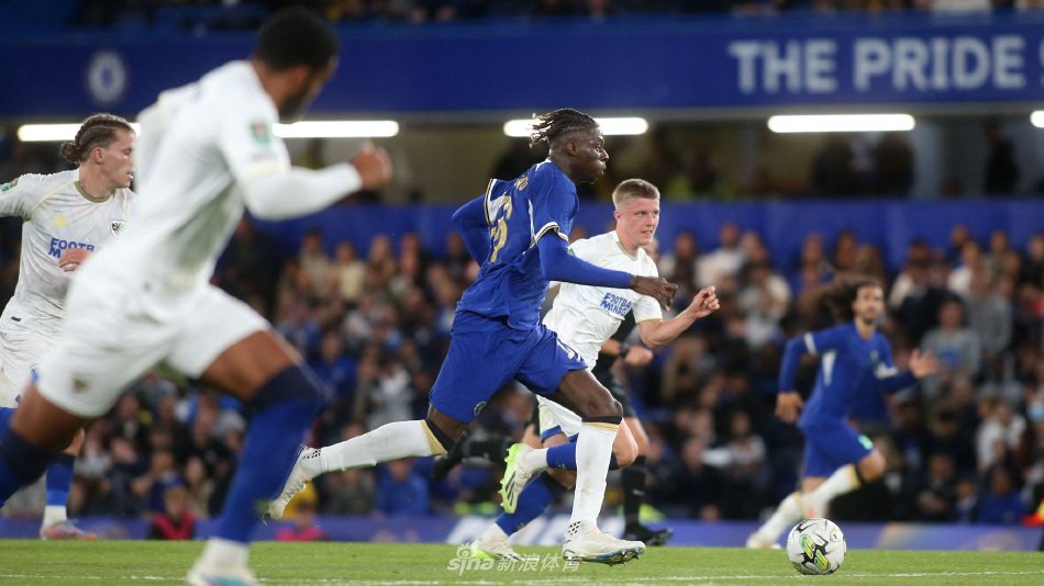 优秀的高尔 优秀的高尔