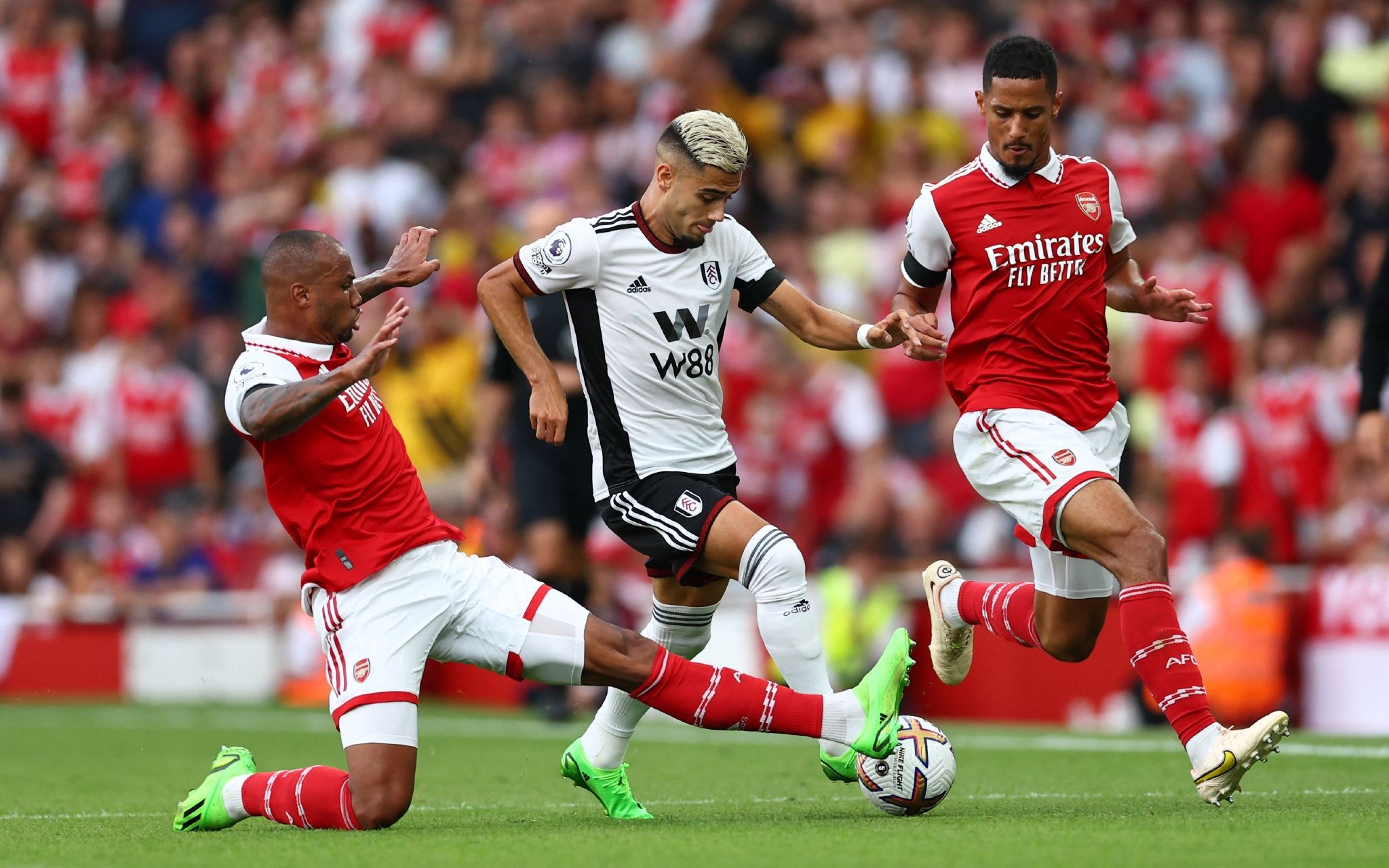 引进镰田大 引进镰田大